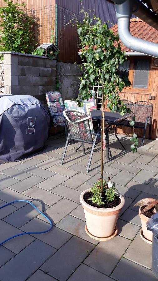 Apartman U Potoka Sadov Eksteriør bilde